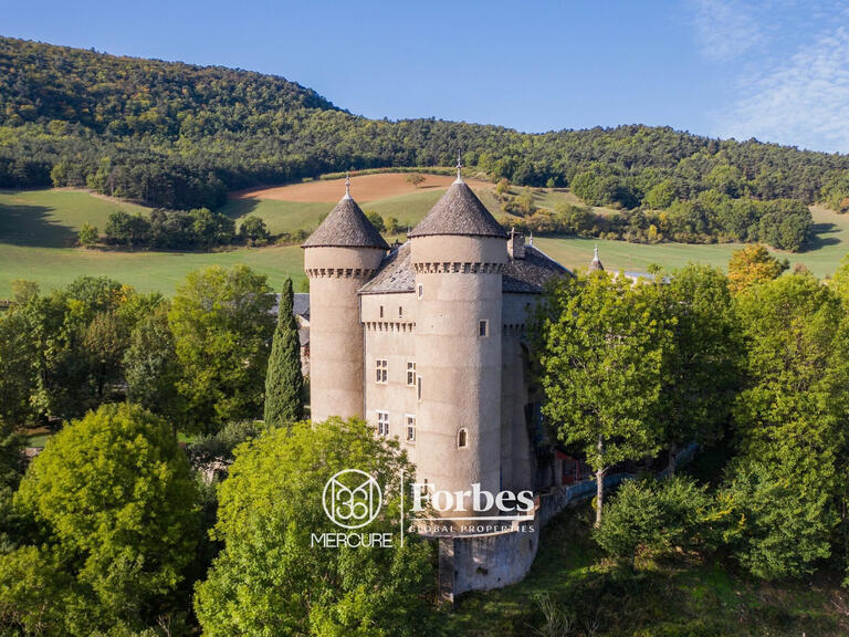 Château Millau - 8 chambres - 500m²