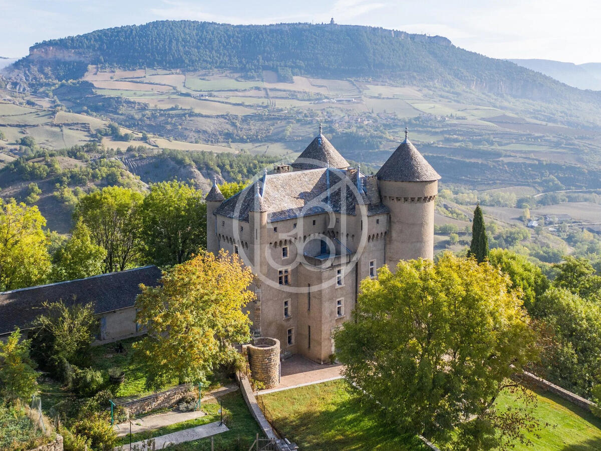 Château Millau