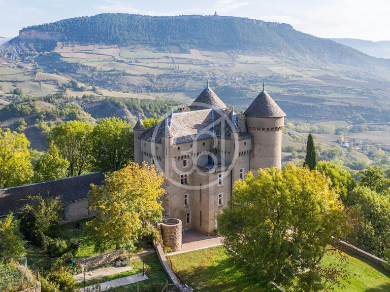 Château Millau - 8 chambres - 500m²