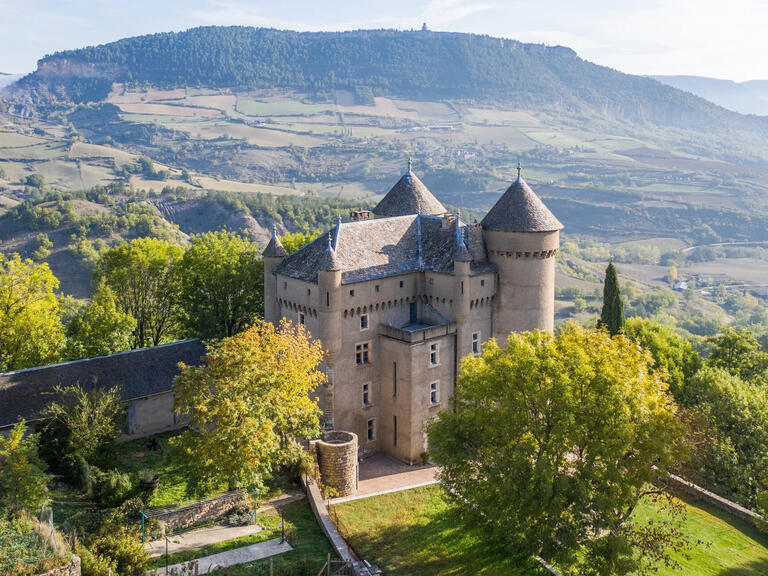 Castle Millau - 8 bedrooms - 500m²