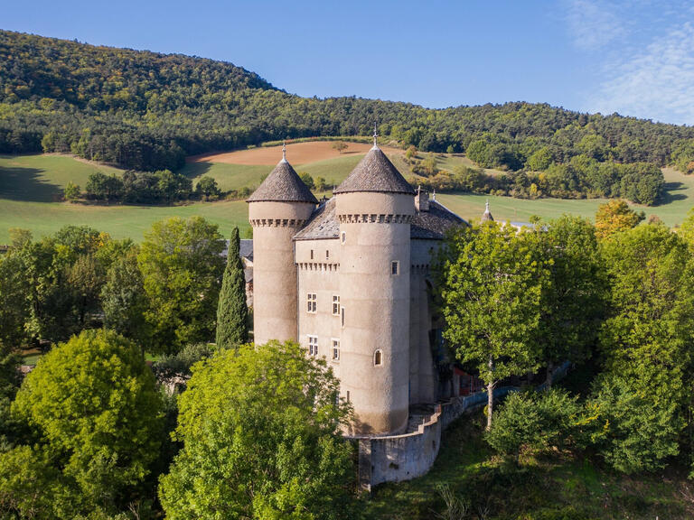 Castle Millau - 8 bedrooms - 500m²