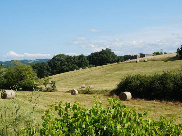 Maison Mirepoix - 7 chambres - 162m²