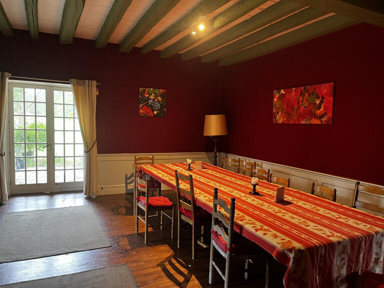 Manor Mirepoix - 10 bedrooms - 620m²