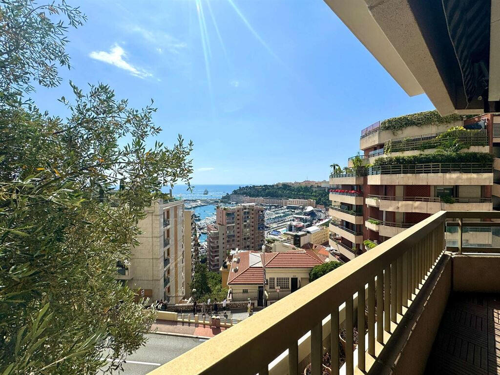 Apartment Monaco