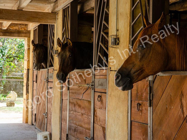 Vente Propriété équestre Monpazier - 8 chambres