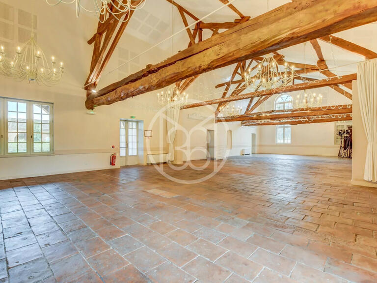 Château Montastruc-la-Conseillère - 11 chambres - 1060m²