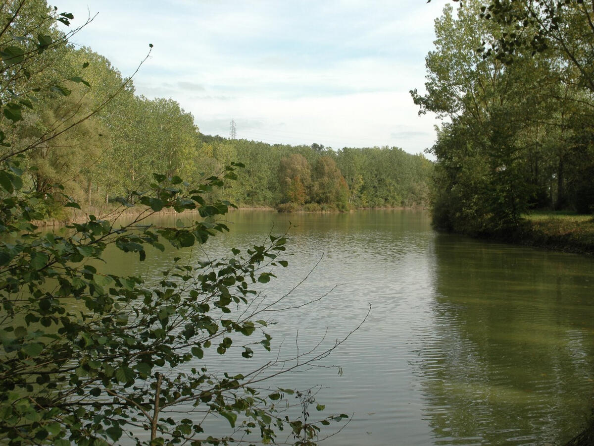 Castle Montauban