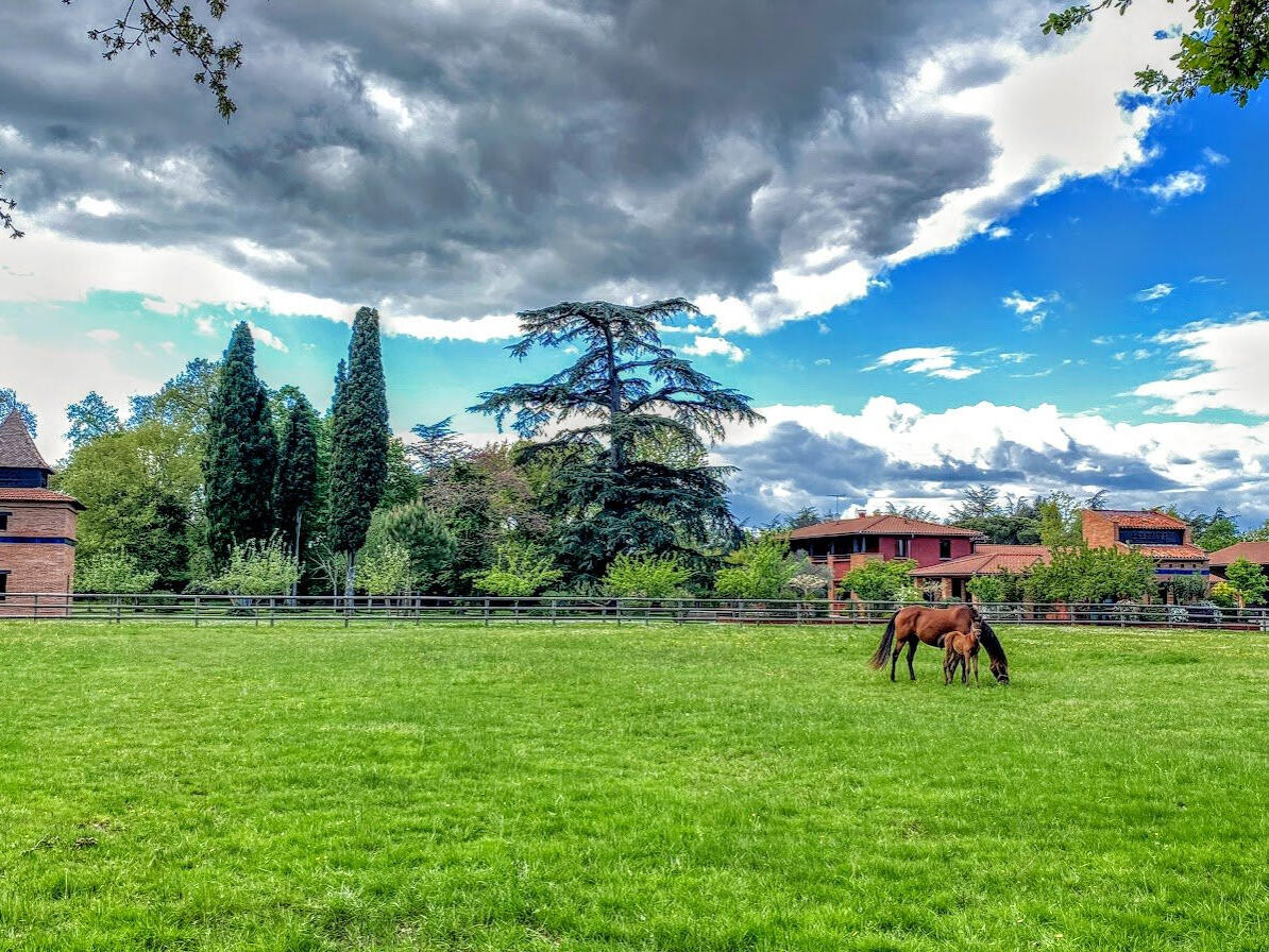 Propriété équestre Montauban