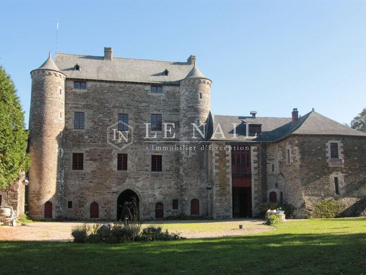 Château Montauban-de-Bretagne - 5 chambres - 300m²