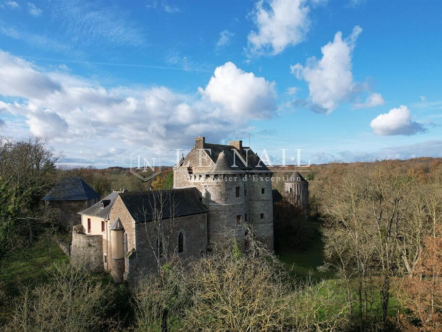 Château Montauban-de-Bretagne