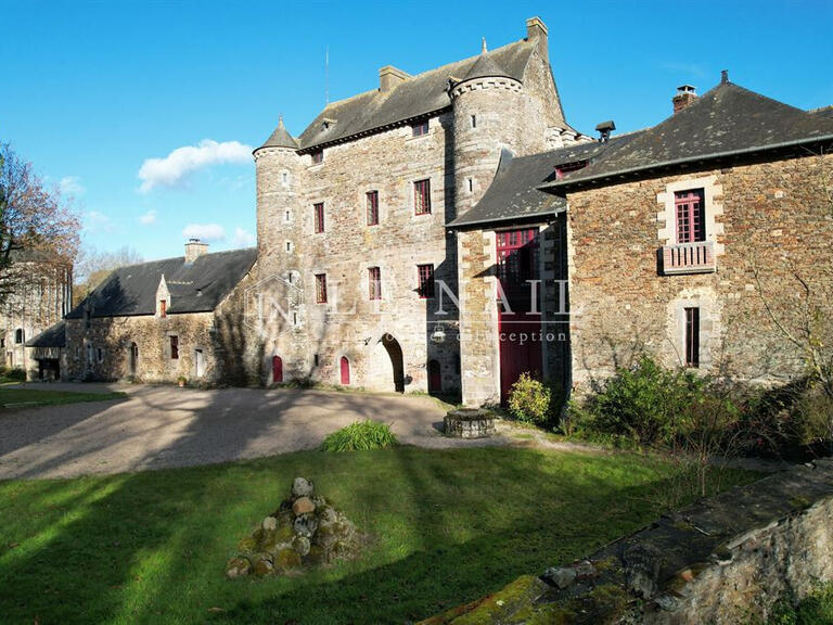 Château Montauban-de-Bretagne - 5 chambres - 300m²