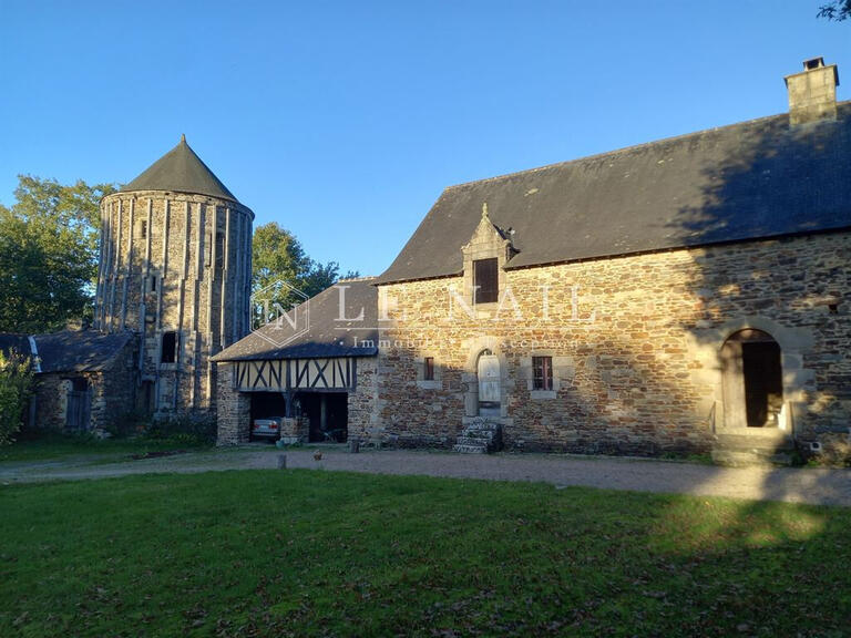 Château Montauban-de-Bretagne - 5 chambres - 300m²