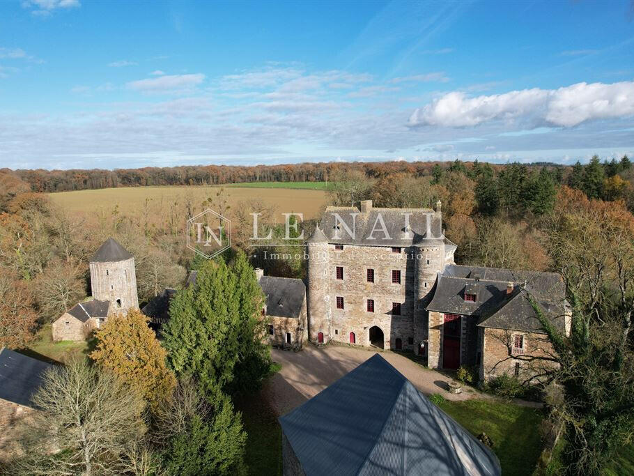 Château Montauban-de-Bretagne