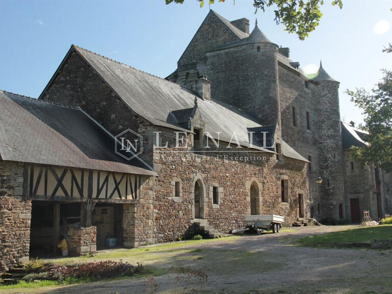 Château Montauban-de-Bretagne - 5 chambres - 300m²