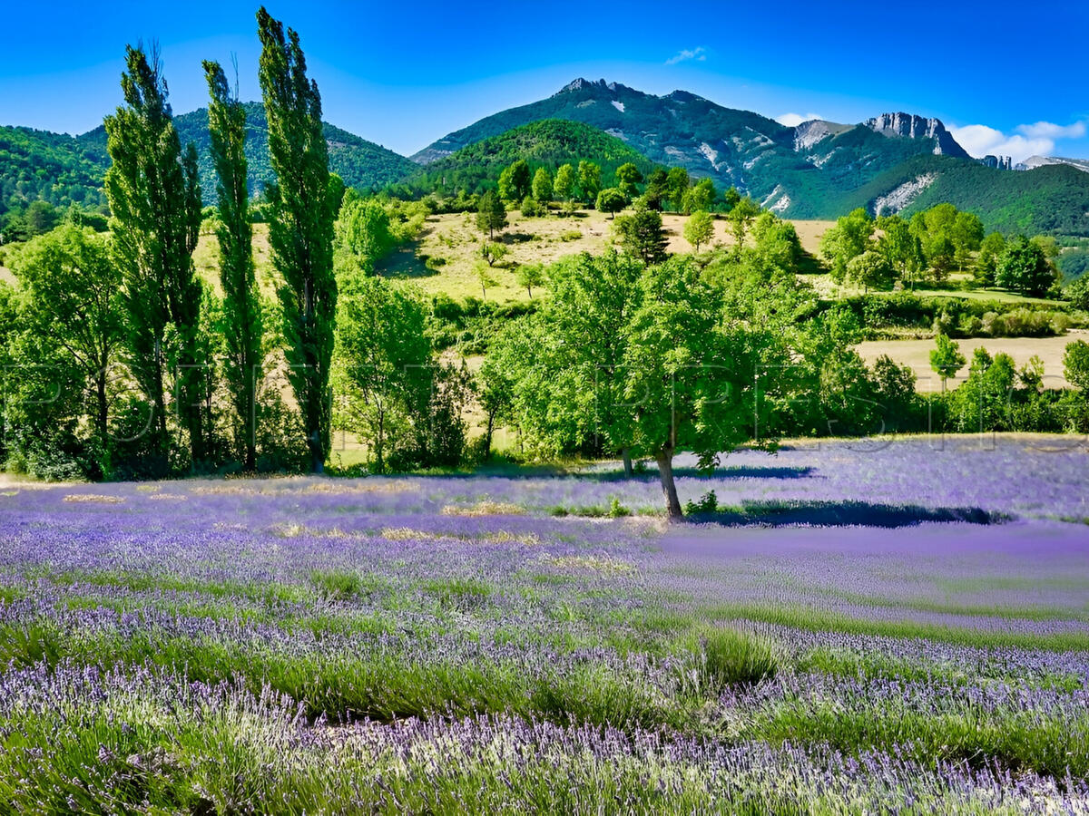 Villa Montbrun-les-Bains