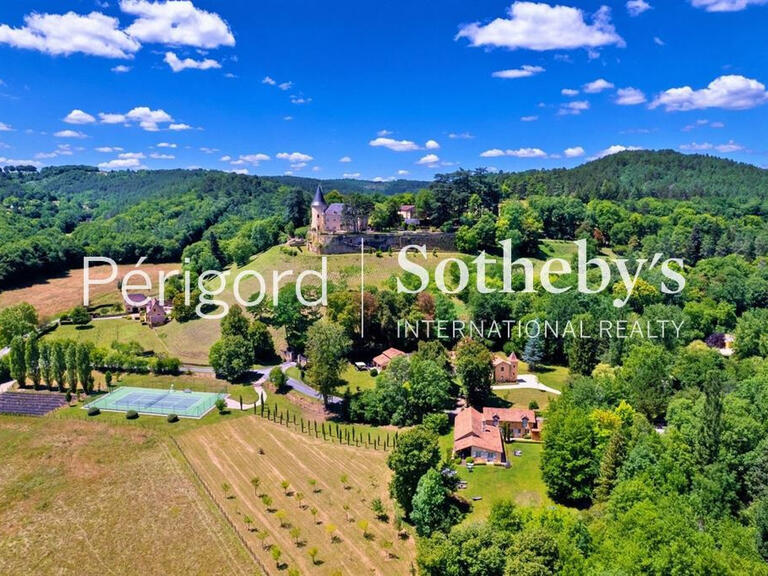 Castle Montignac - 23 bedrooms - 2700m²