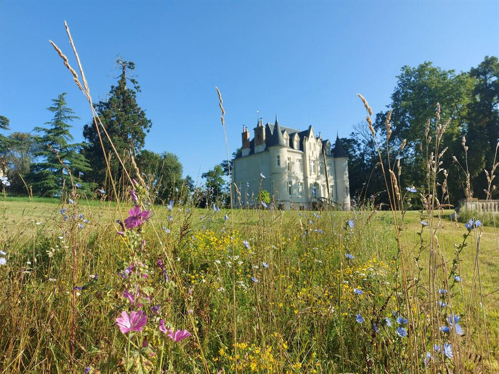 Castle Montluçon