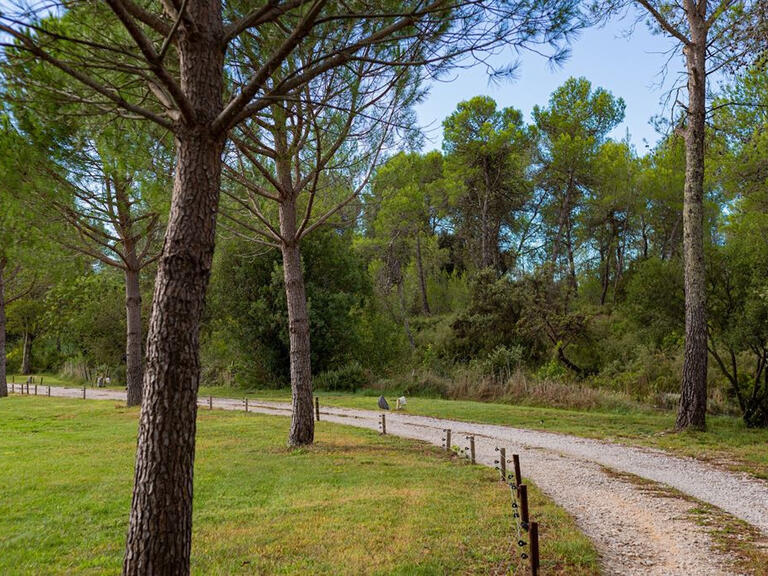 Vente Propriété Montpellier - 7 chambres