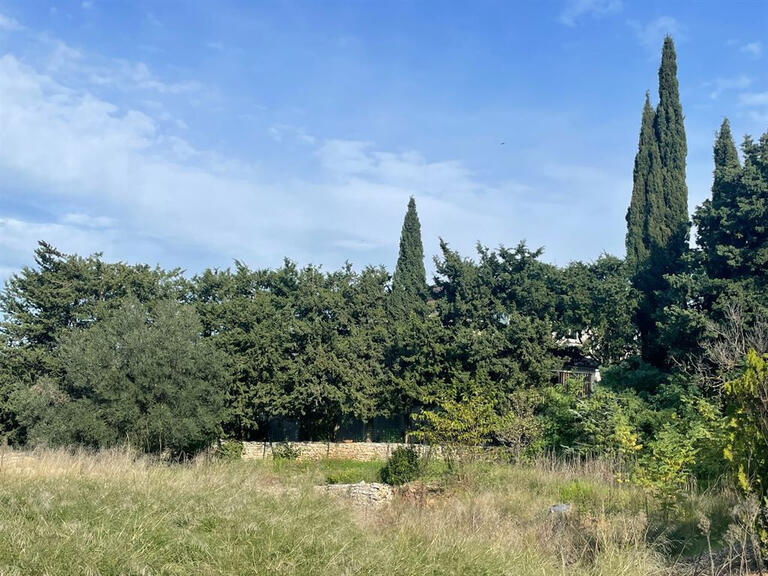 Terrain Montpellier - 1585m²