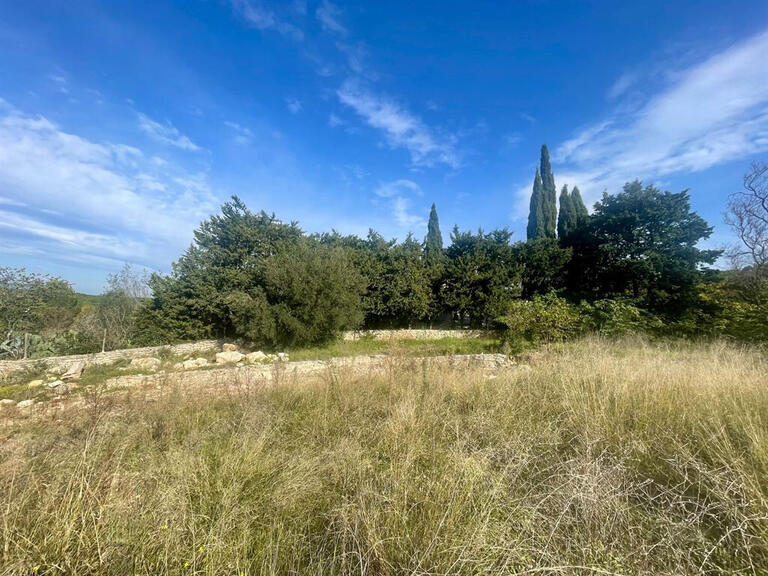 Terrain Montpellier - 1585m²