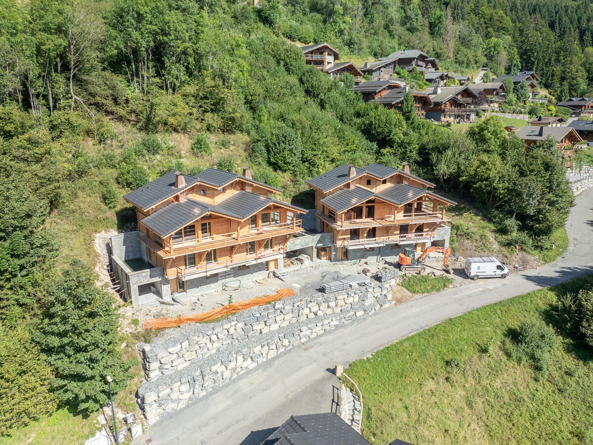 Chalet Montriond