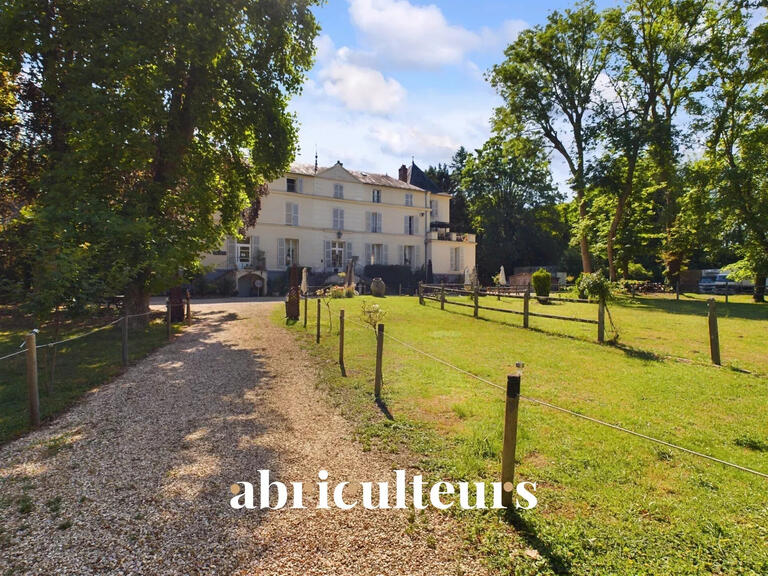 Castle Morigny-Champigny - 14 bedrooms - 1250m²