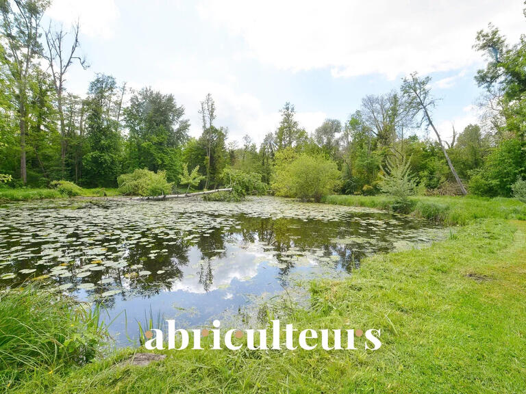 Vente Château Morigny-Champigny - 14 chambres