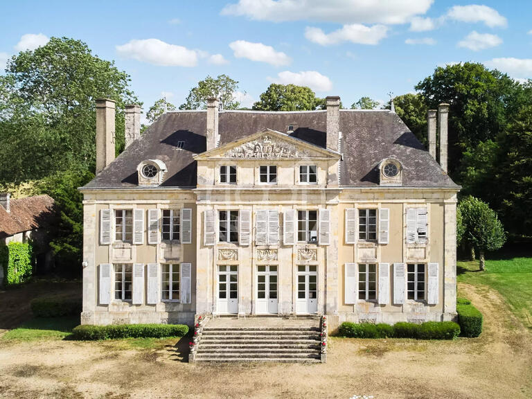 Vente Château Mortagne-au-Perche - 11 chambres