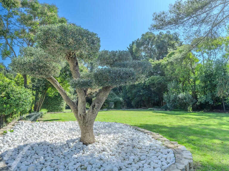 Maison Mougins - 5 chambres - 345m²