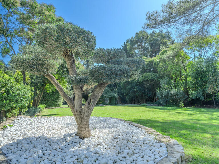 Maison Mougins - 6 chambres - 345m²