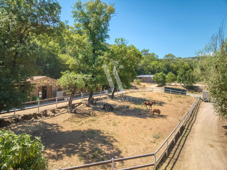 Sale Equestrian property Mougins - 3 bedrooms