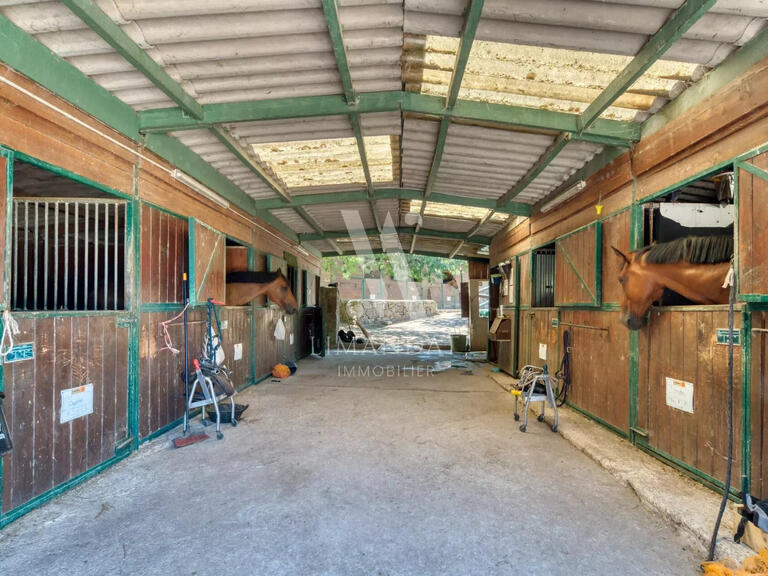 Sale Equestrian property Mougins - 3 bedrooms