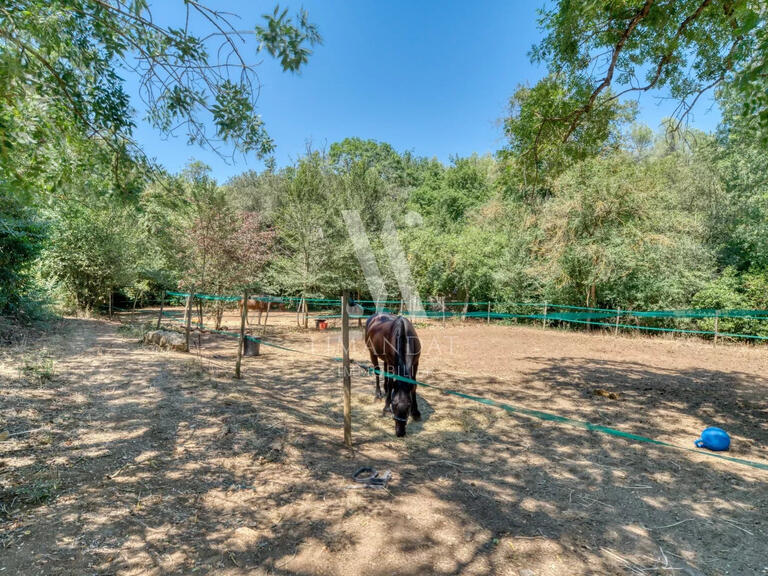 Sale Equestrian property Mougins - 3 bedrooms