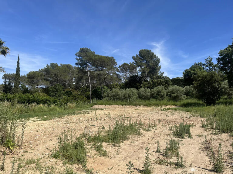 Terrain Mougins - 4270m²