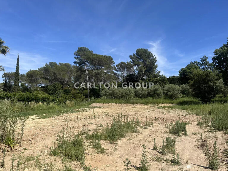 Terrain Mougins - 4270m²