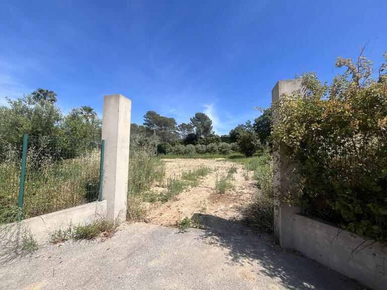 Land Mougins - 4270m²