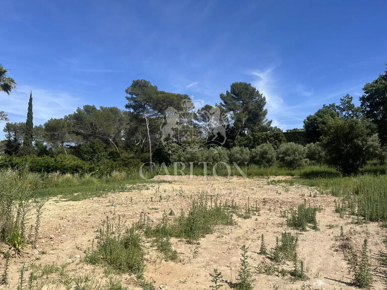 Terrain Mougins - 4270m²