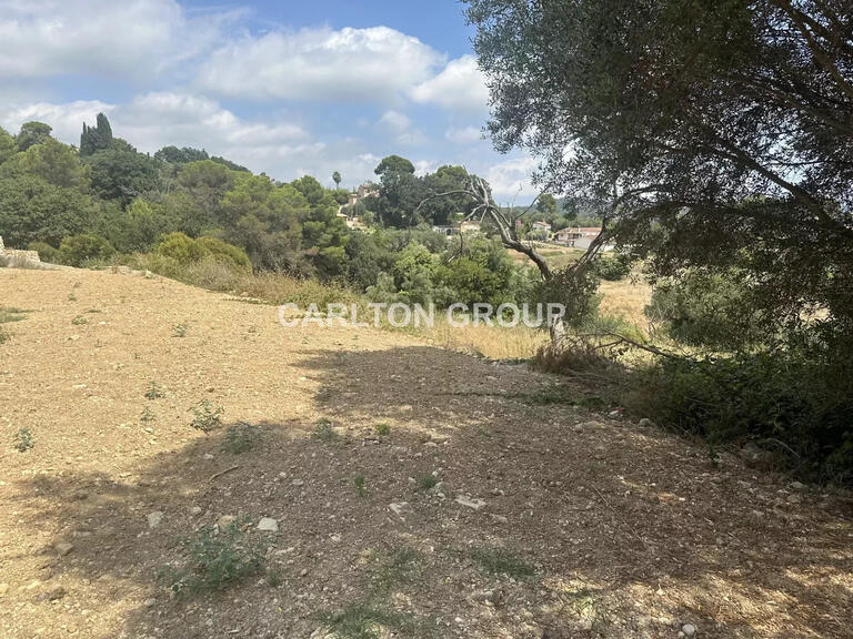 Terrain Mougins - 1398m²