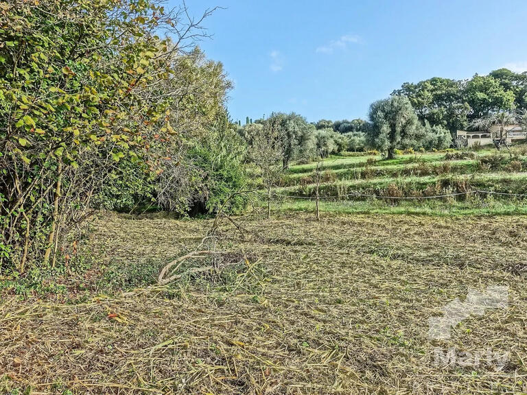 Land Mougins - 4467m²