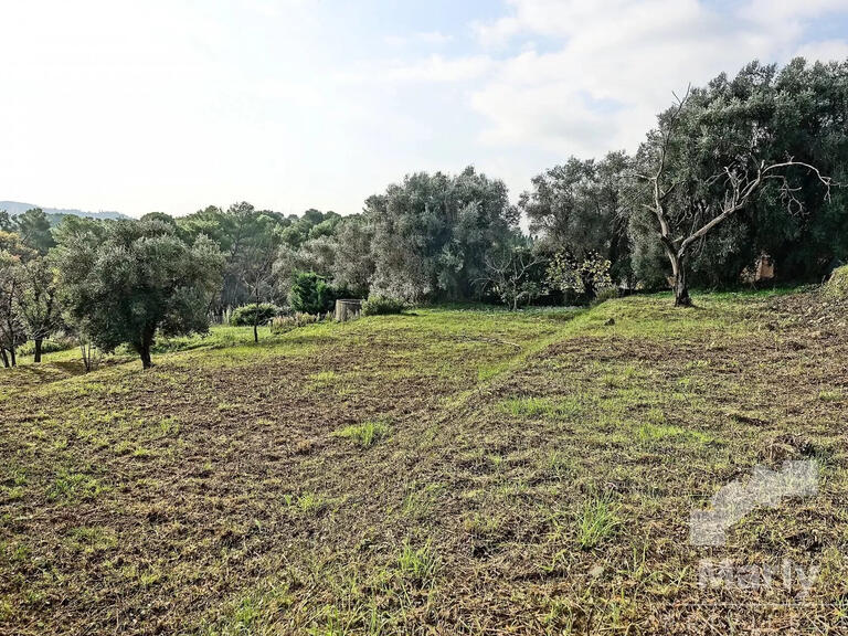 Land Mougins - 4467m²