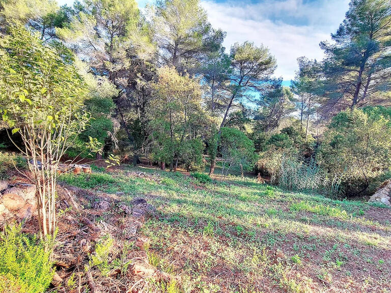 Land Mougins - 4277m²