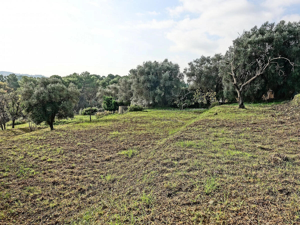 Land Mougins