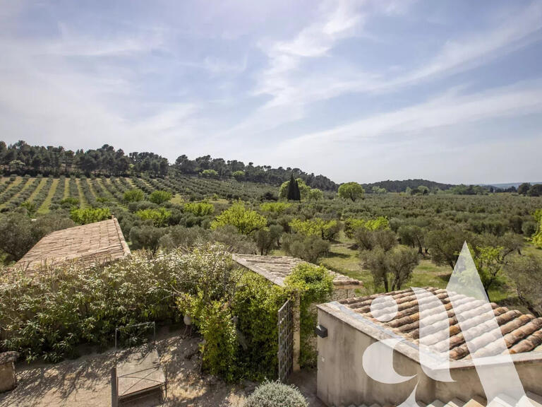 House Mouriès - 8 bedrooms