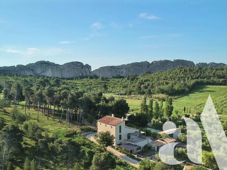 House Mouriès - 8 bedrooms