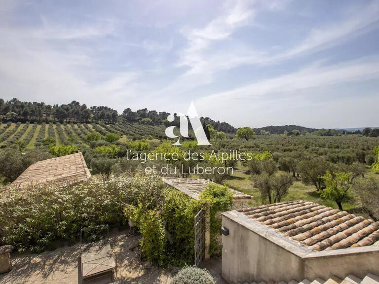 House Mouriès - 8 bedrooms