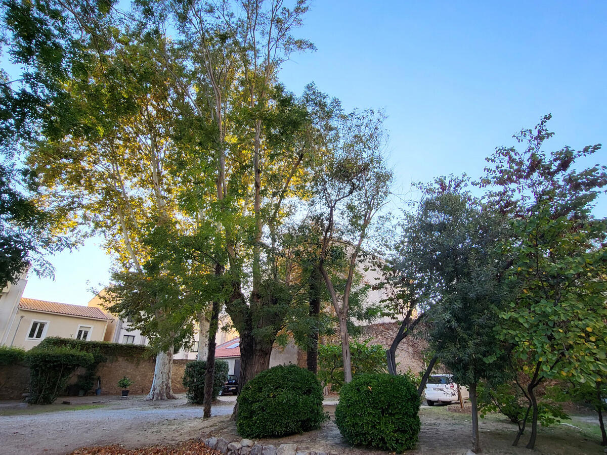 Appartement Narbonne