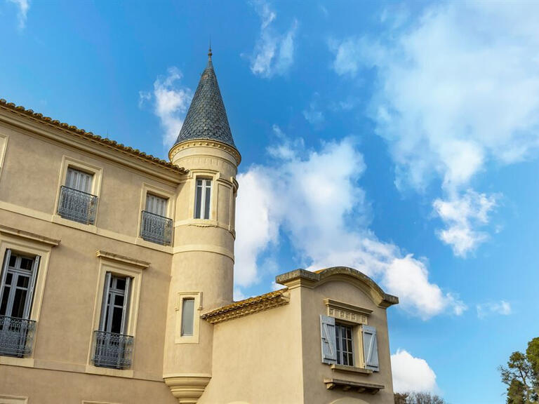 Vente Château Narbonne - 8 chambres