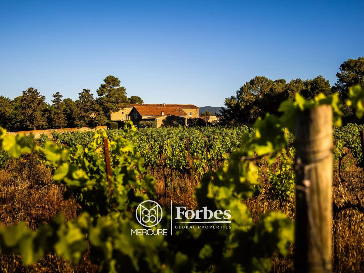 Vineyard Narbonne