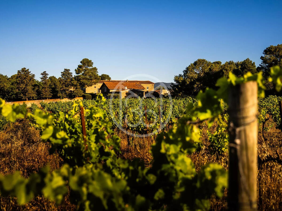 Domaine viticole Narbonne