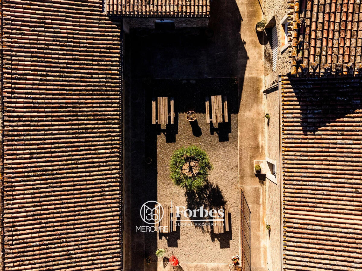 Vineyard Narbonne